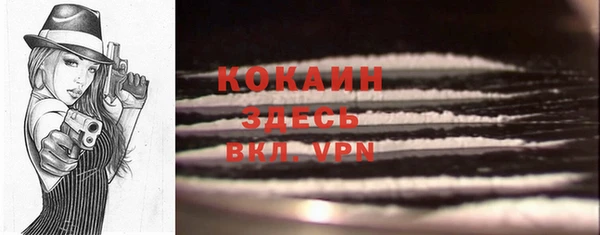 крисы Баксан