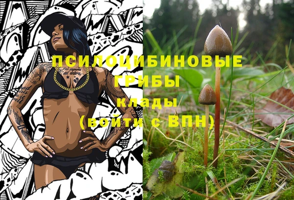 apvp Балахна